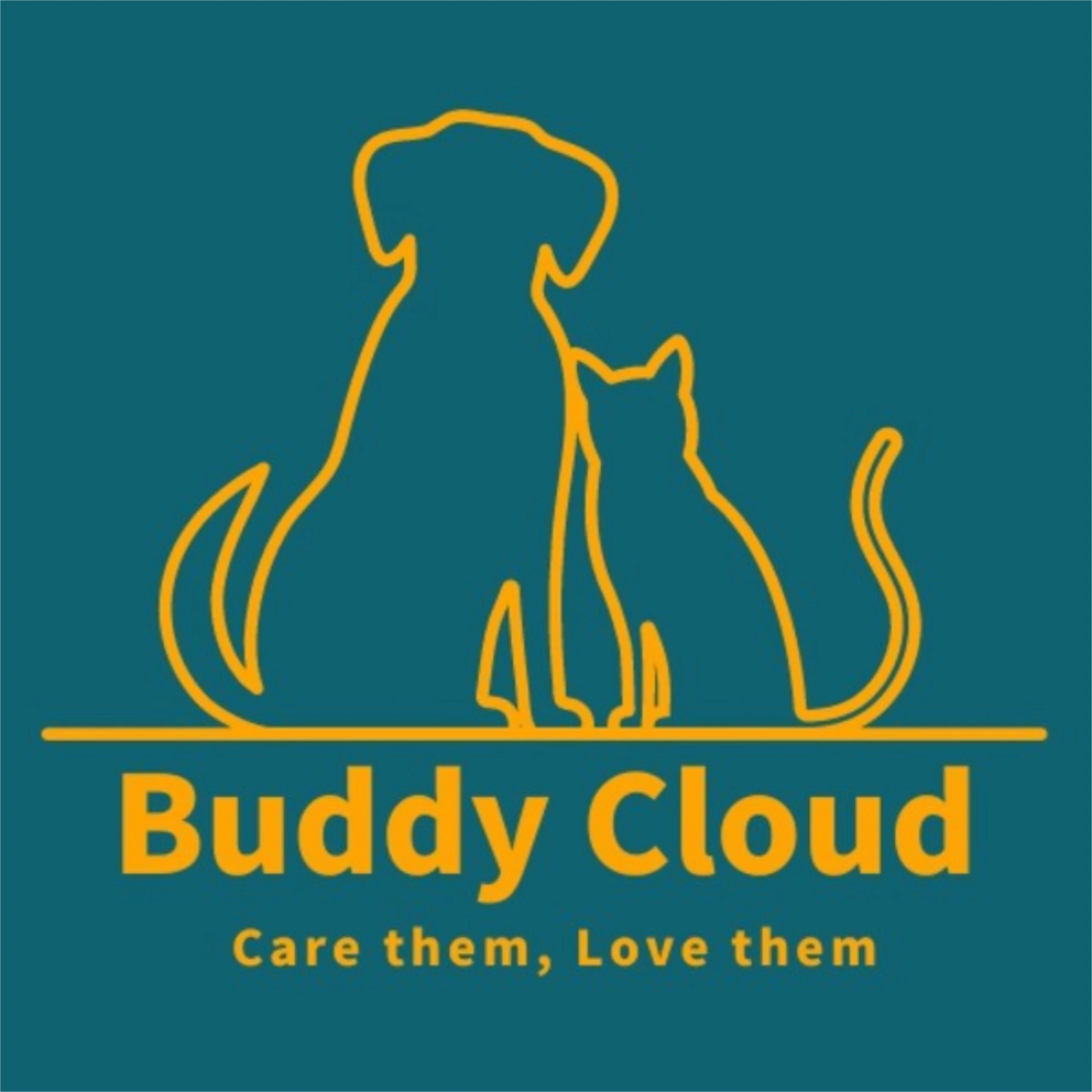 BuddyCloud Inc