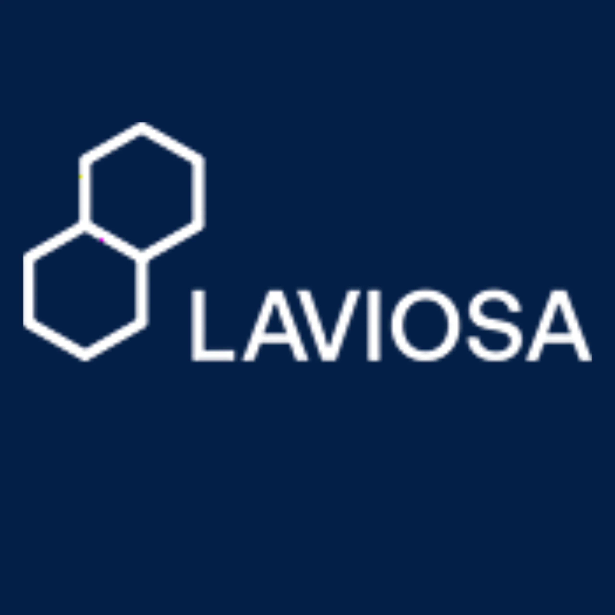 Laviosa Spa