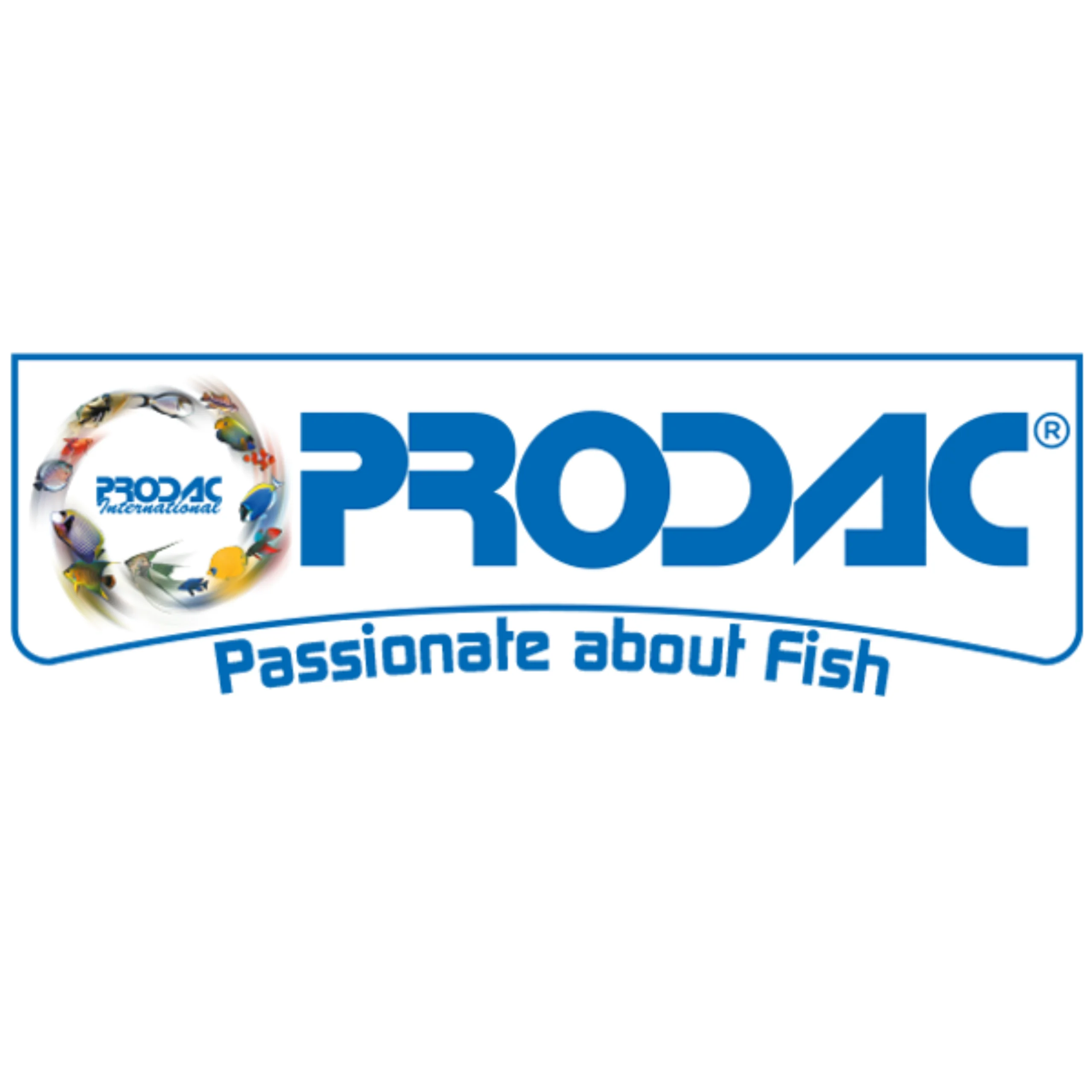 Pro.d.ac. International S.r.l.
